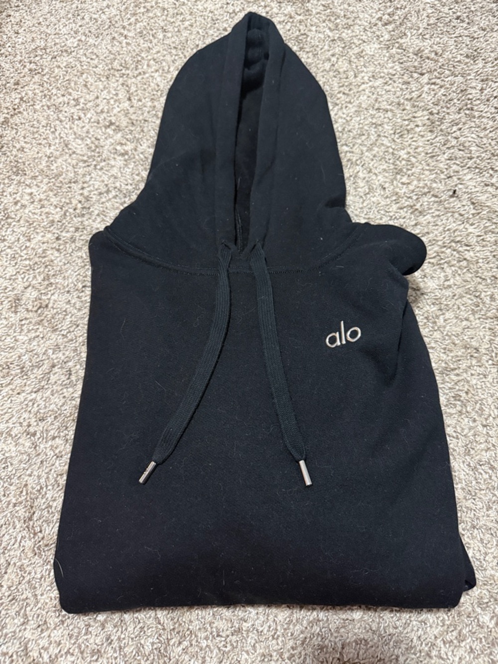 Alo Accolade Hoodie
